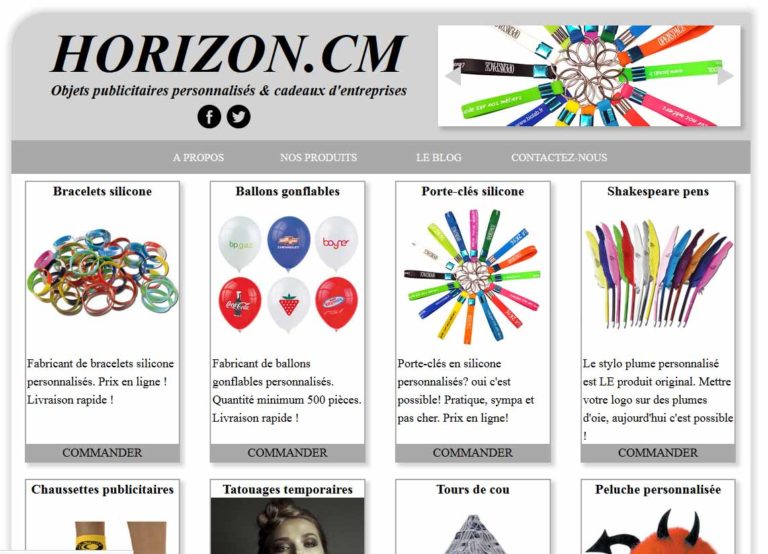 Read more about the article Horizon Cameroun