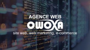 Read more about the article Agence web owoxa, site web, web marketing et e-commerce