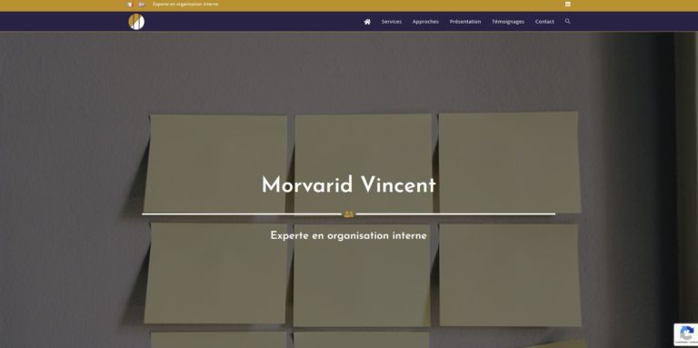 Read more about the article Morvarid Vincent