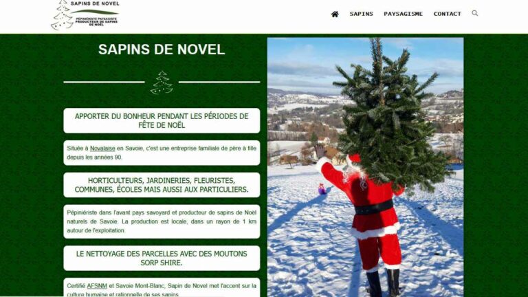 Read more about the article Sapins de Novel
