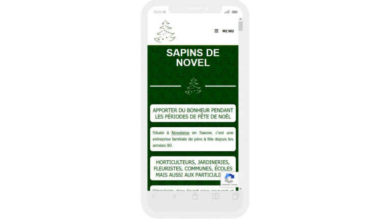 sapinsdenovel-fr-responsive-720p-web