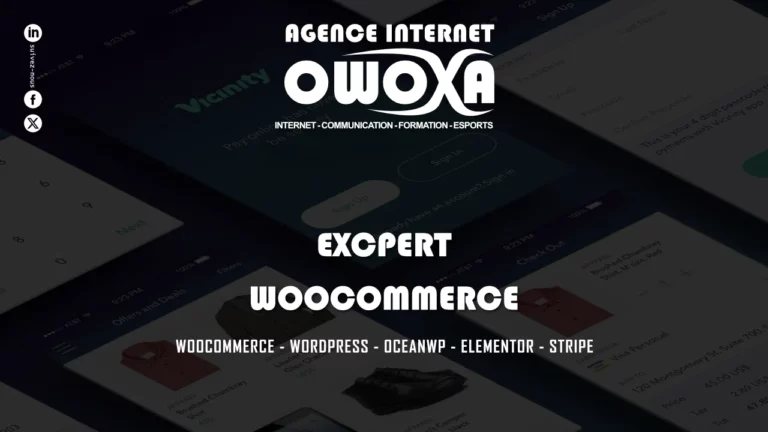 Expert woocommerce agence internet owoxa