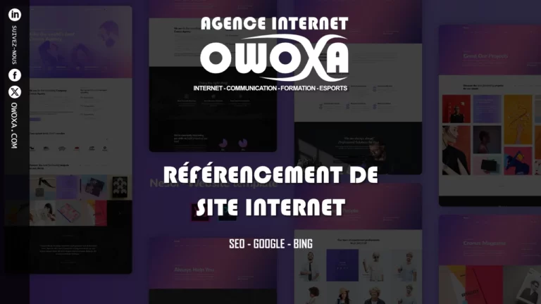 référencement de site internet naturel seo agence internet owoxa