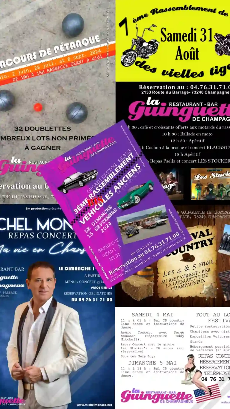 infographie 2024 agence internet owoxa
